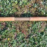 Paddles
