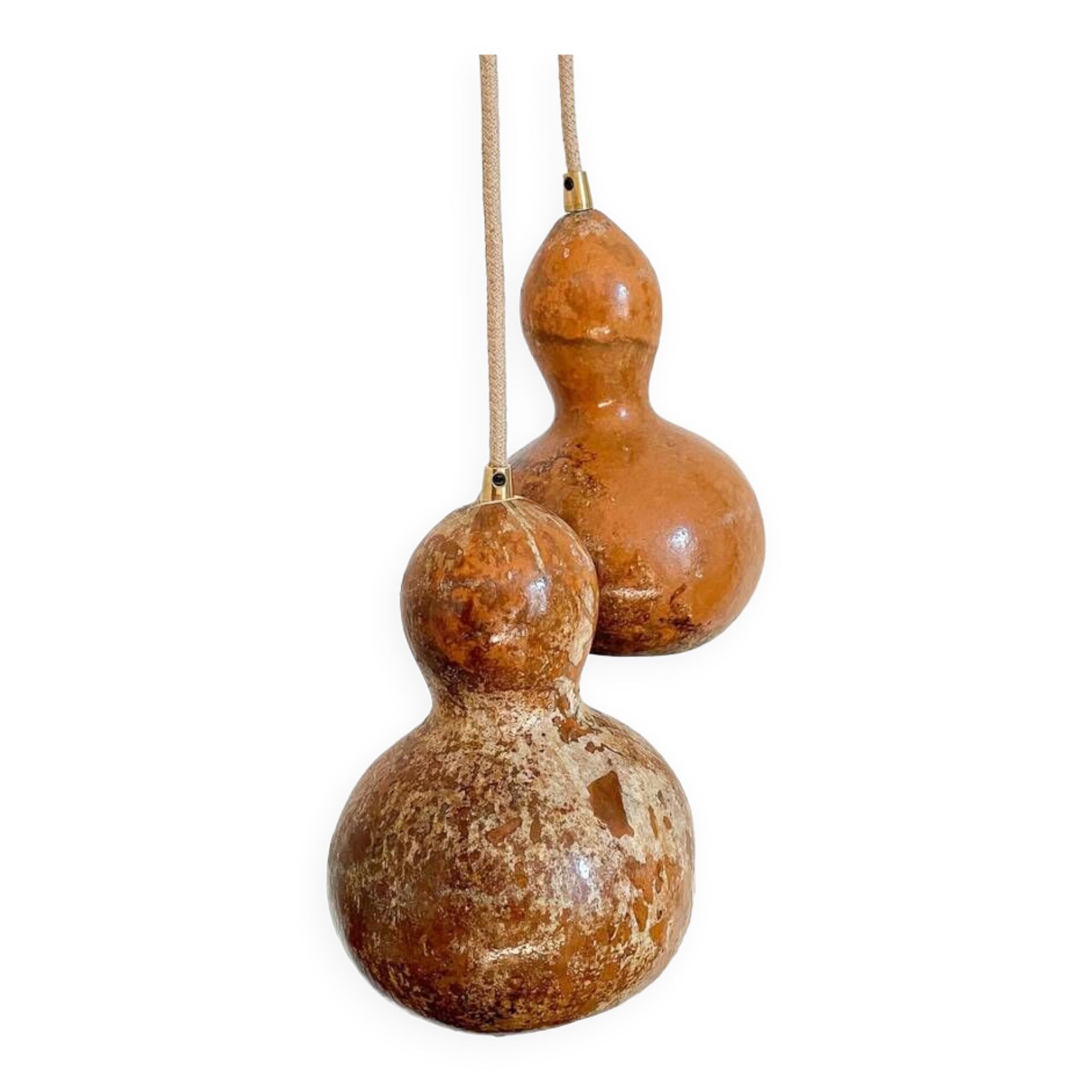 Calabash plant lamp