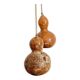 Calabash plant lamp