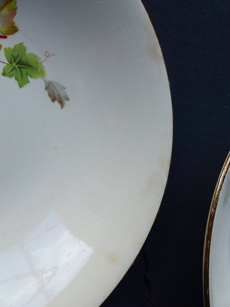 4 Gien "primefleur" hollow porcelain plates