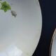 4 Gien "primefleur" hollow porcelain plates