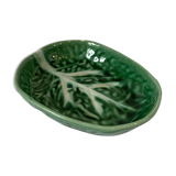 Cabbage Cup