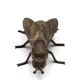 Metal ashtray in the shape of a fly, 1950s