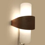 Dutch design opal glass NX 40 vintage wall lamp Louis Kalff Philips