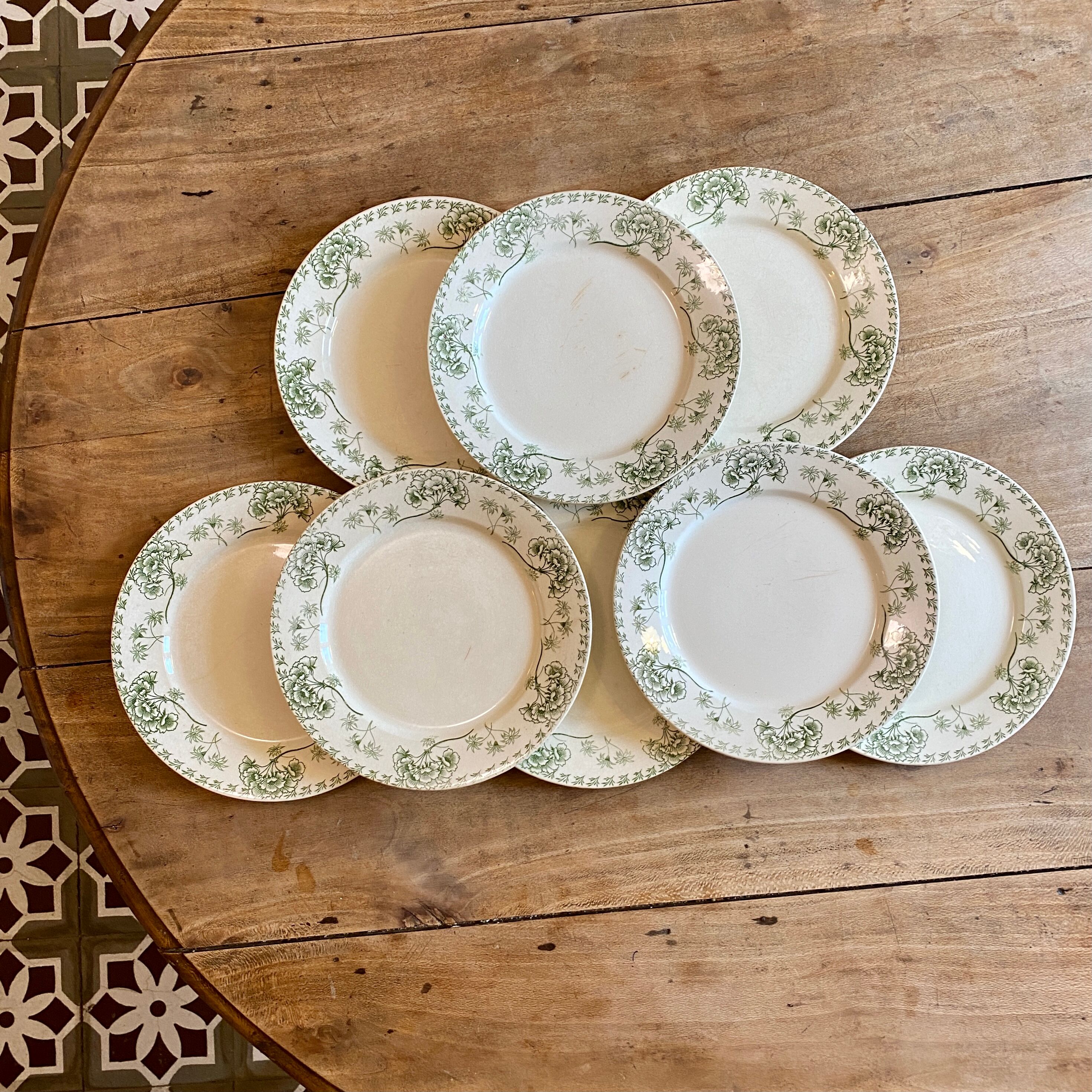 Set of 8 vintage plates in palmyre de sarreguemines iron earth (lot 3)