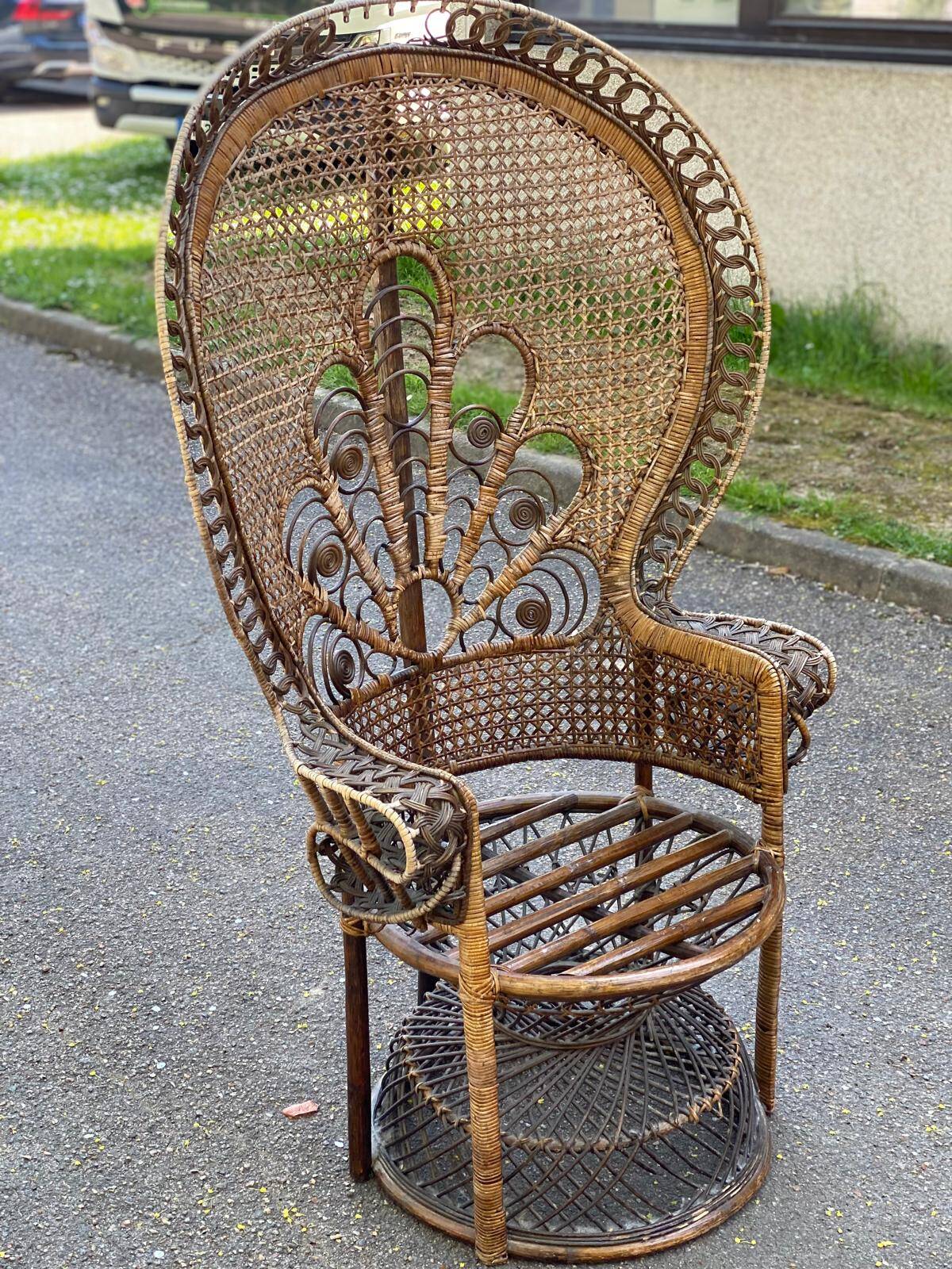 Emmanuelle peacock chair in rattan and wicker