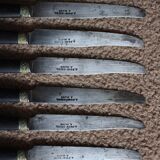 A set of 8 small knives with black wooden ferrules