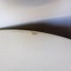 5 flat plates of K&G Luneville model Mat 210731