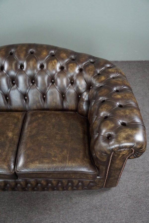 Chesterfield sofa in cowhide leather 2 places