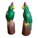 Pair of parrots