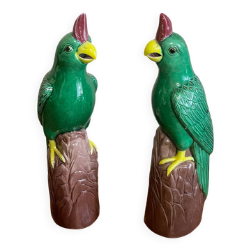 Pair of parrots