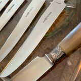 12 table knives. Horn handle