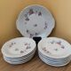 12 plates and 1 serving dish, white porcelain with apple blossom patterns.