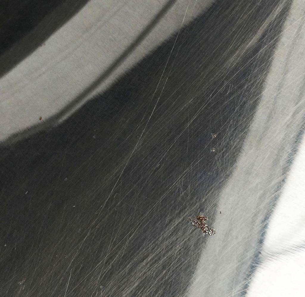 Vintage semi-suspension lamp by Bondrup & Thorup for Fog & Mørup