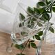 Set of 6 wine glasses