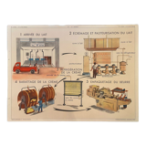 School poster Laiterie et Ferme d'Elevage Montmorillon Rossignol