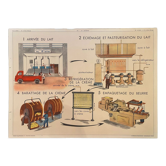 School poster Laiterie et Ferme d'Elevage Montmorillon Rossignol