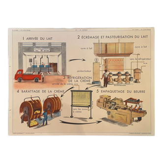 School poster Laiterie et Ferme d'Elevage Montmorillon Rossignol