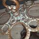 Cast iron umbrella holder