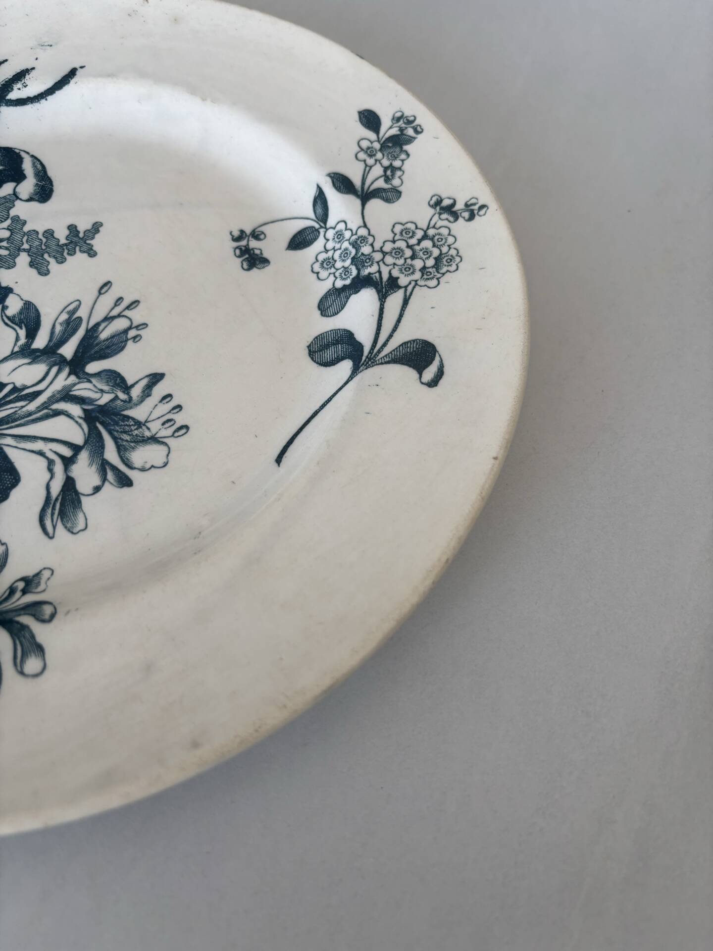 Flat plate, ironstone, Sarreguemines, blue flower - antique earthenware.