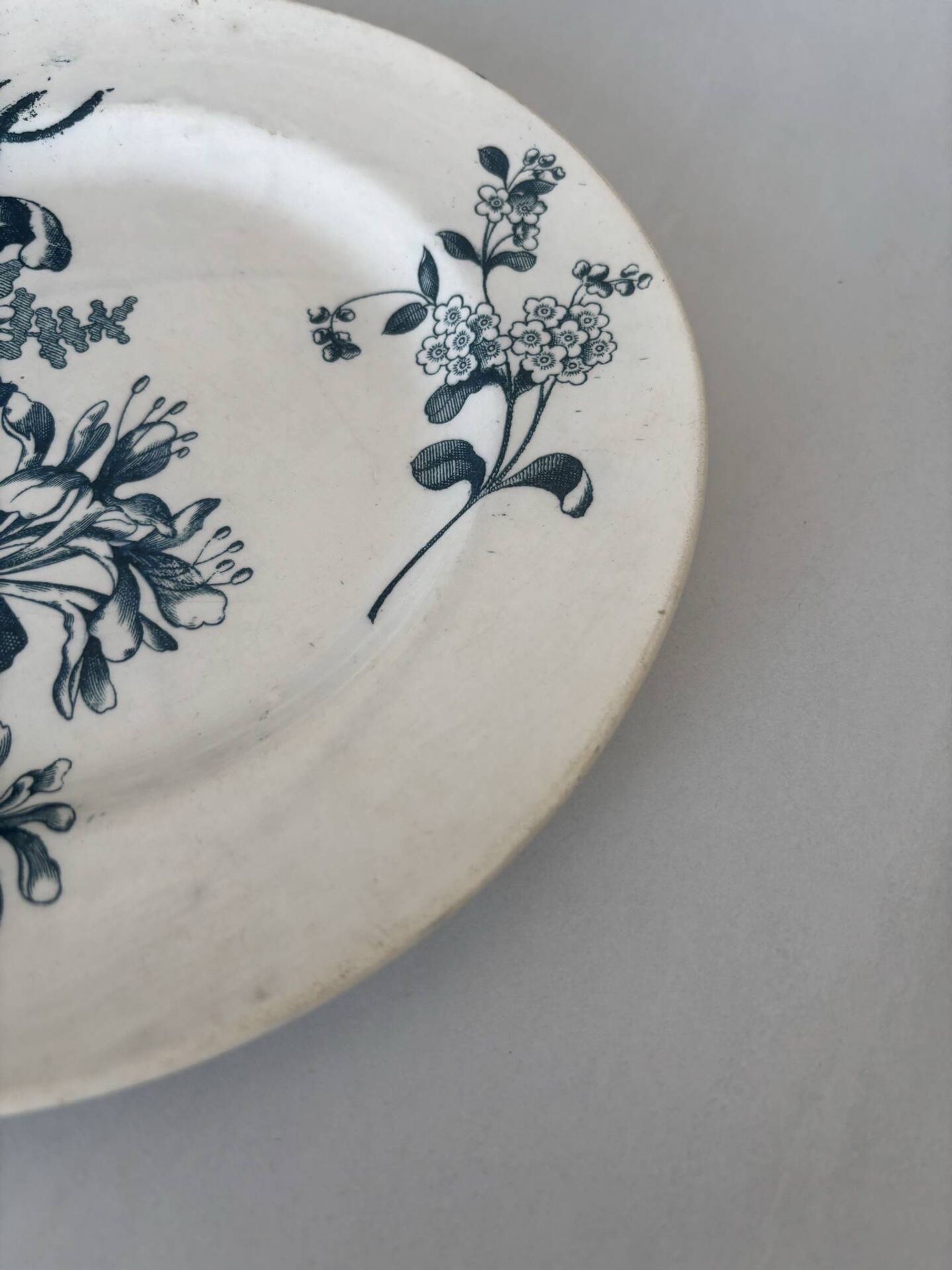 Assiette plate terre de fer sarreguemines fleur bleu- faïence ancienne