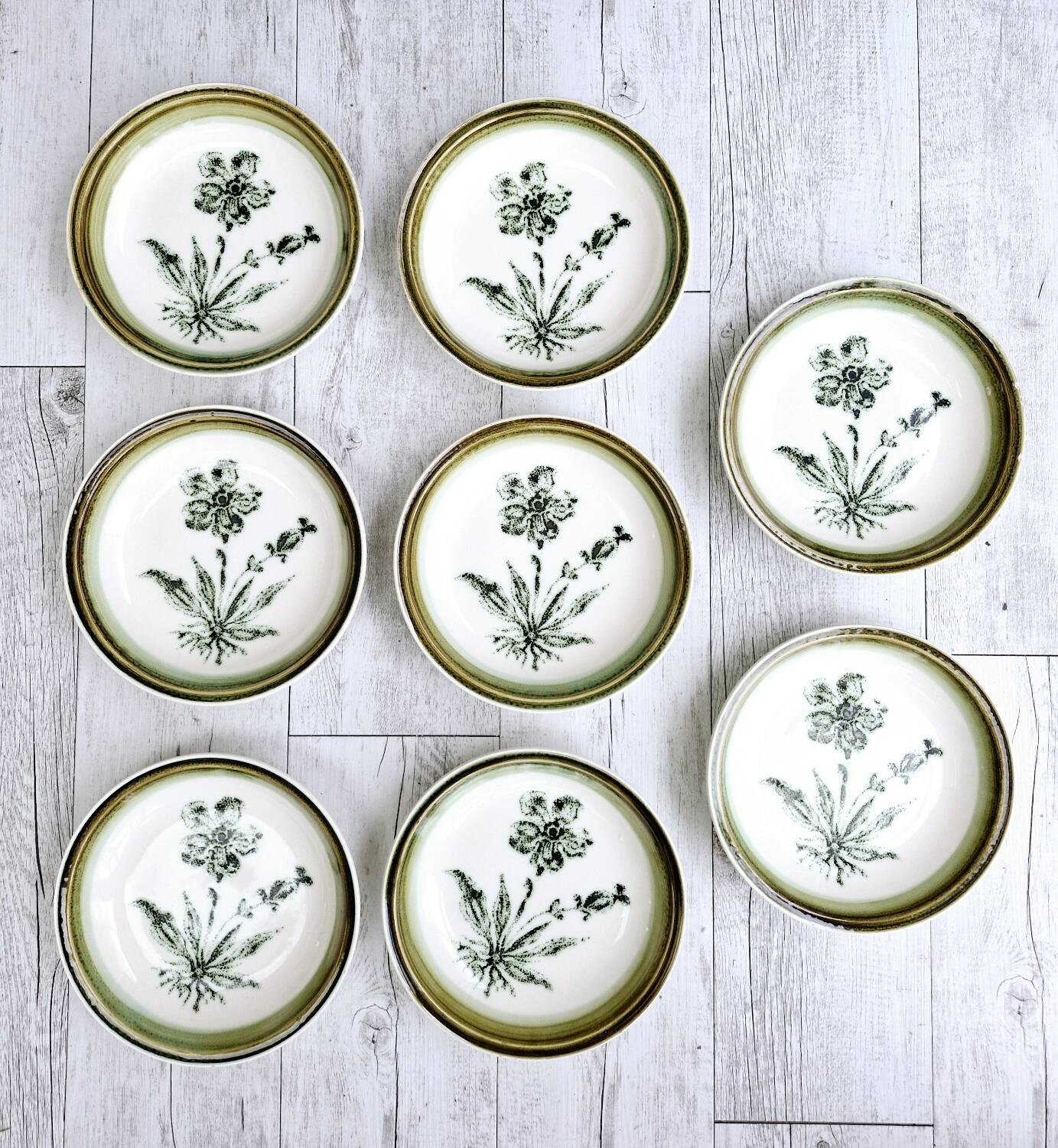 8 vintage hollow plates earthenware Gien model Herbiers table arts France