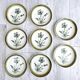 8 vintage hollow plates earthenware Gien model Herbiers table arts France