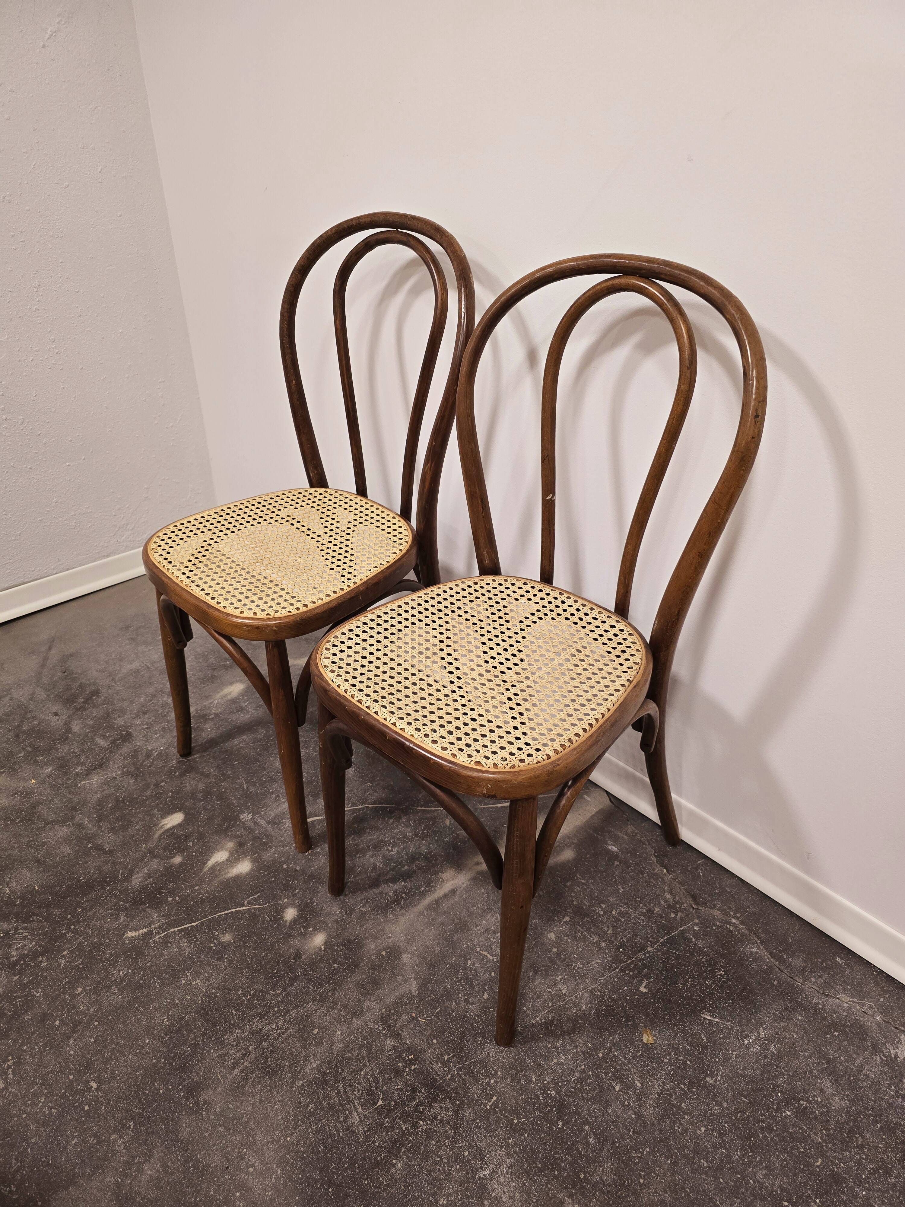 Bois courbé n° 18, années 1960 1 sur 2