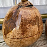 Pair of coconut ice buckets