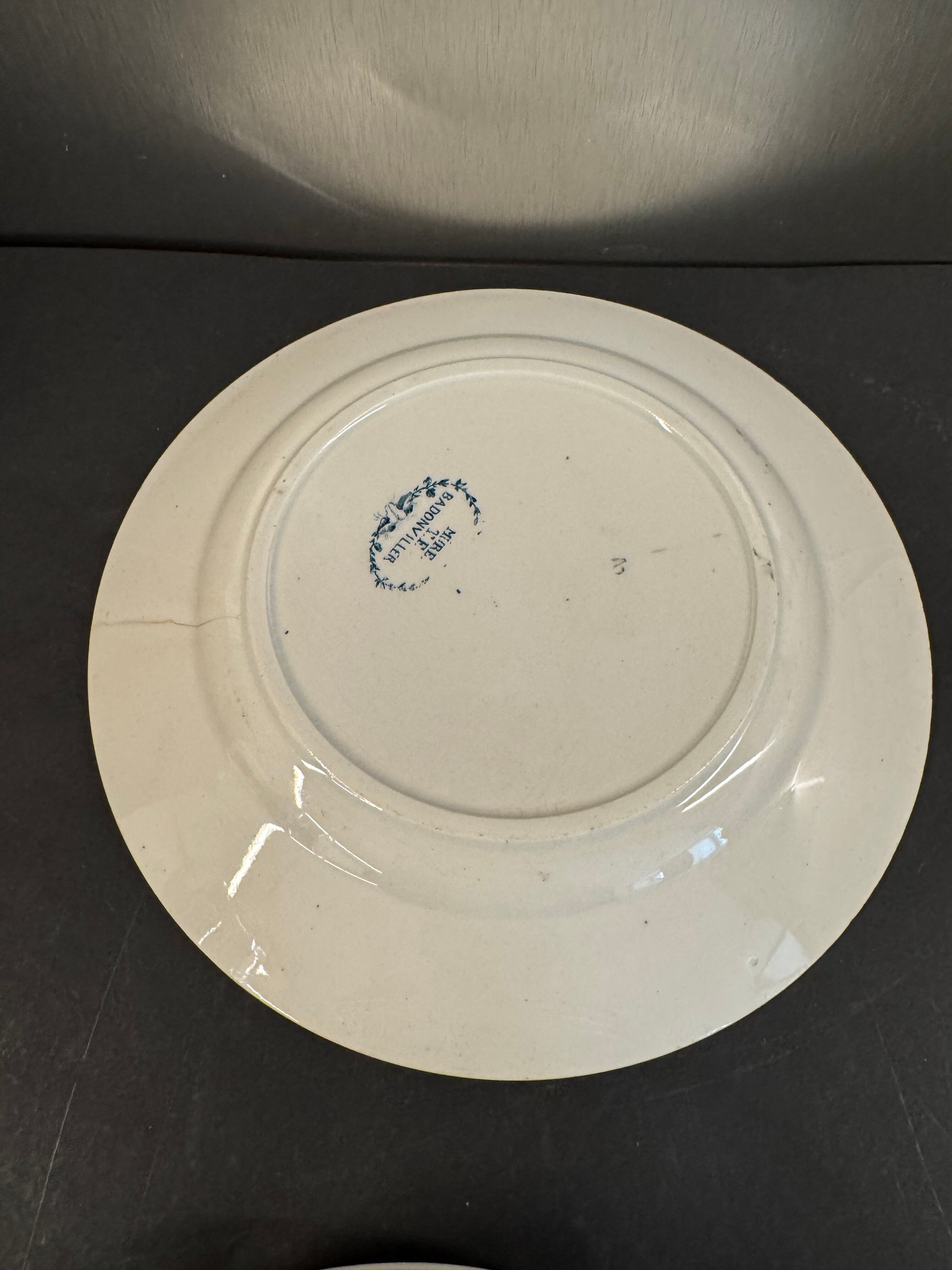 7 deep plates in ironstone "Mûre" Badonviller