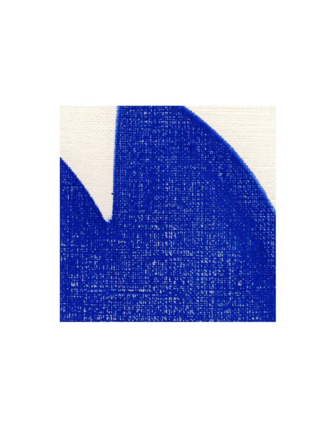 Duo of paints - Neo and Plum - majorelle blue - signed Eawy