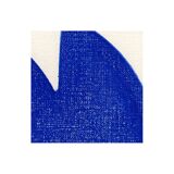 Duo of paints - Neo and Plum - majorelle blue - signed Eawy