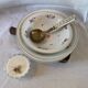 Porcelain dish
