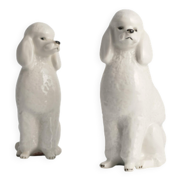 White Hand-Painted Porcelain Poodle Dogs by Lomonosov, Soviet, 1960s, Set of 2