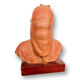 Bust of a woman with terracotta veil signed Alexandre