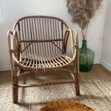 Rattan shell armchair adult model