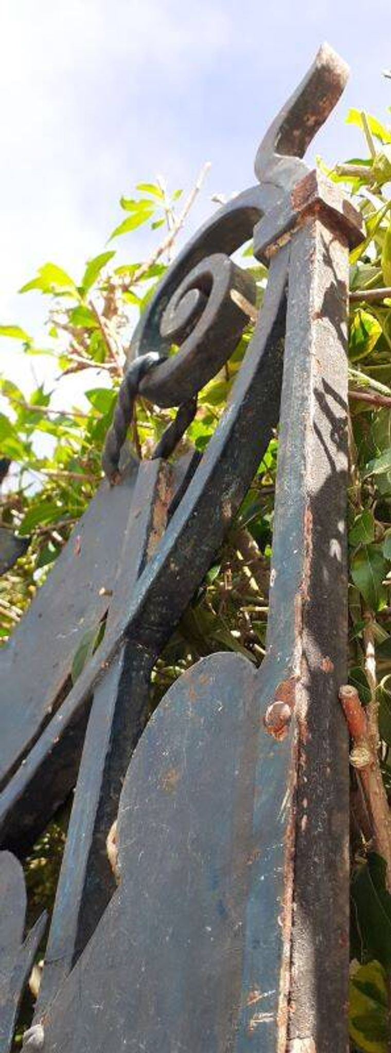 Solid gate, garden iron, H227x110cm, old, exterior door