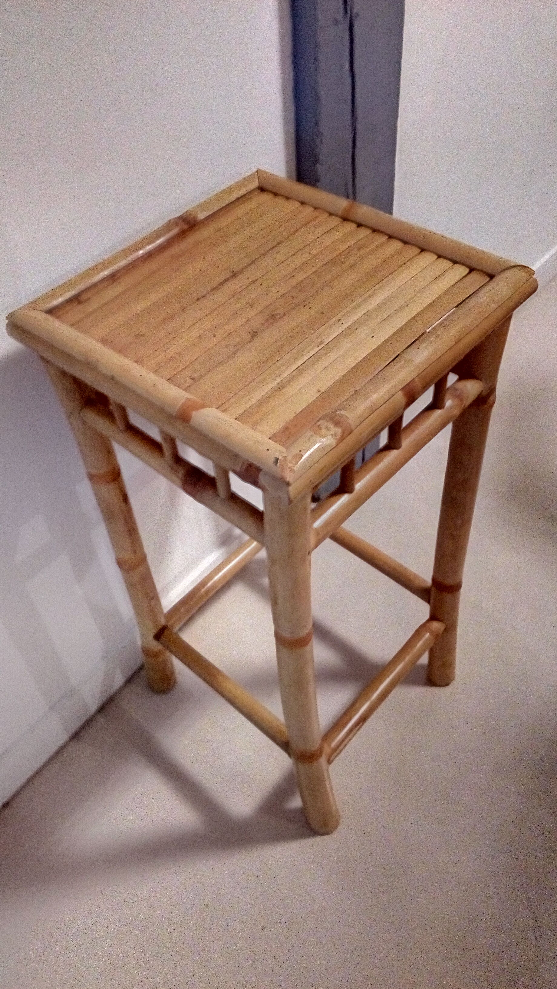 Bamboo selette plant-carrier duo