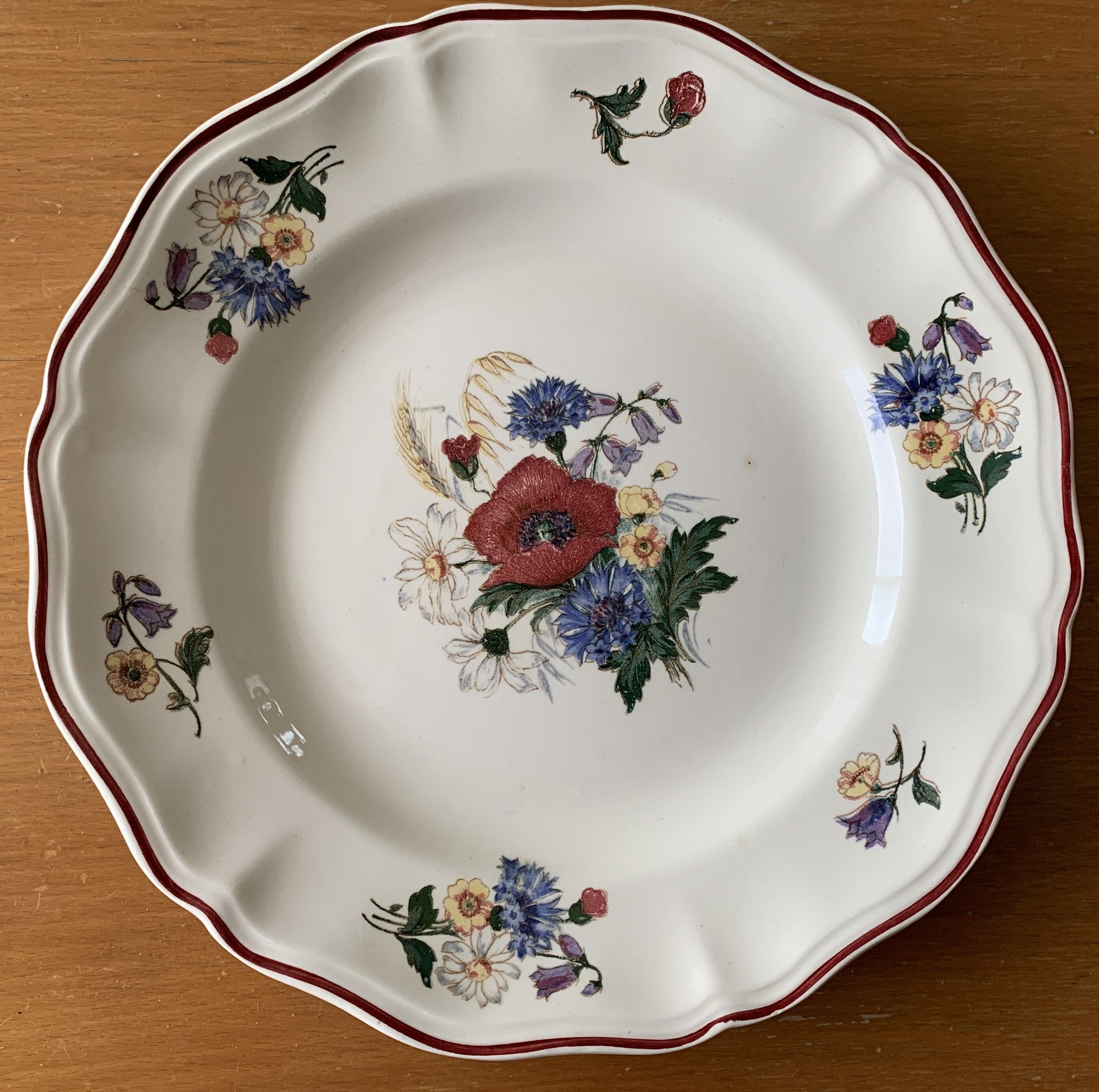 6 large old flat plates in Sarreguemines earthenware