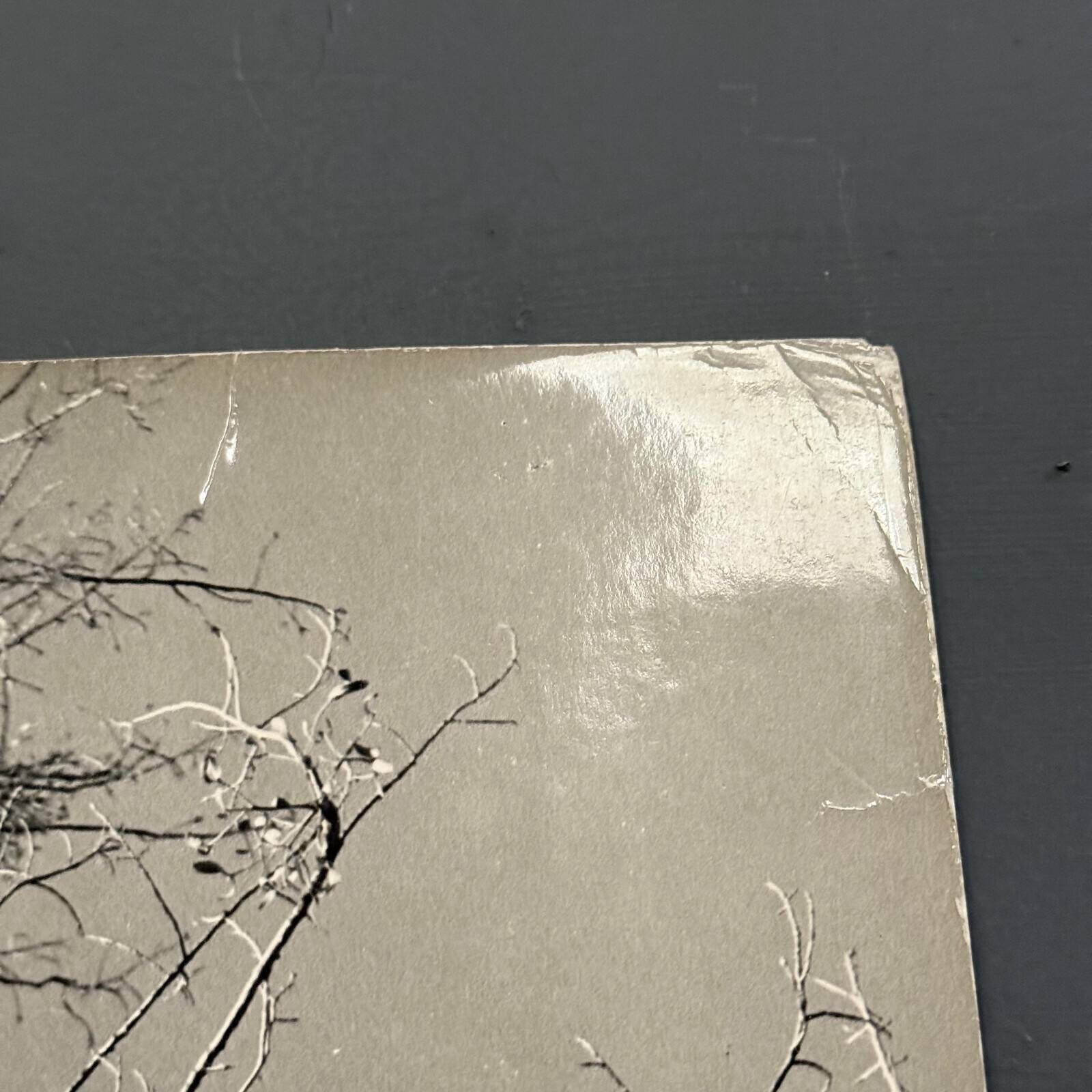 Black and white photo entitled Boules de Guy by Robert Laporte 20th century