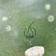 Beautiful large green dish from Danish Knabstrup 1950s