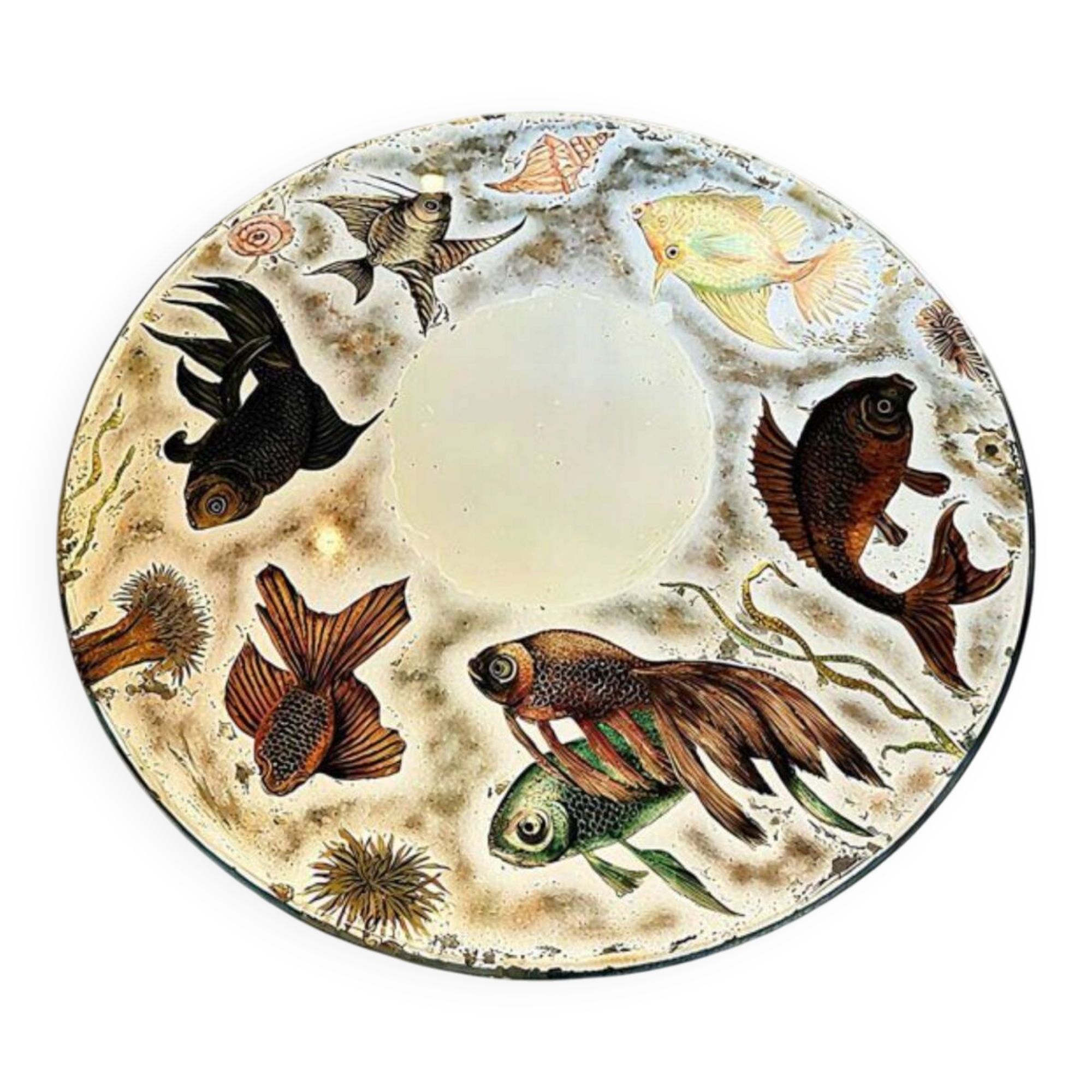 Fornasetti 1960 Decorative Fish Mirror