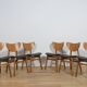 Mid-Century Librenza Dining Chairs from G-Plan, 1950s, United Knigdom .