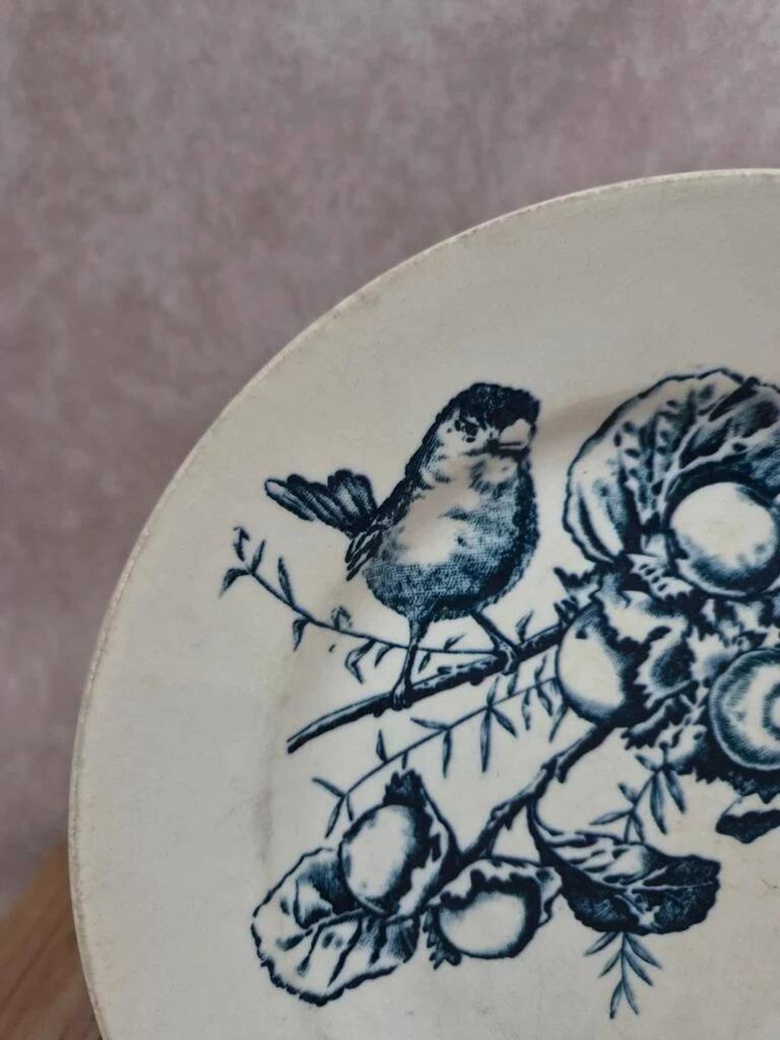 Plate Terre de Fer HB & Cie Choisy-le-Roi – Bird & fruits – 19th century