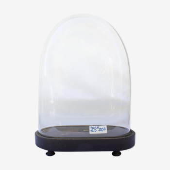 Globe en verre ovale 30,5 cm haute