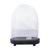 Globe en verre ovale 30,5 cm haute