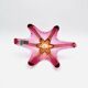 Coupe Murano - Sommerso - Orange & Rose
