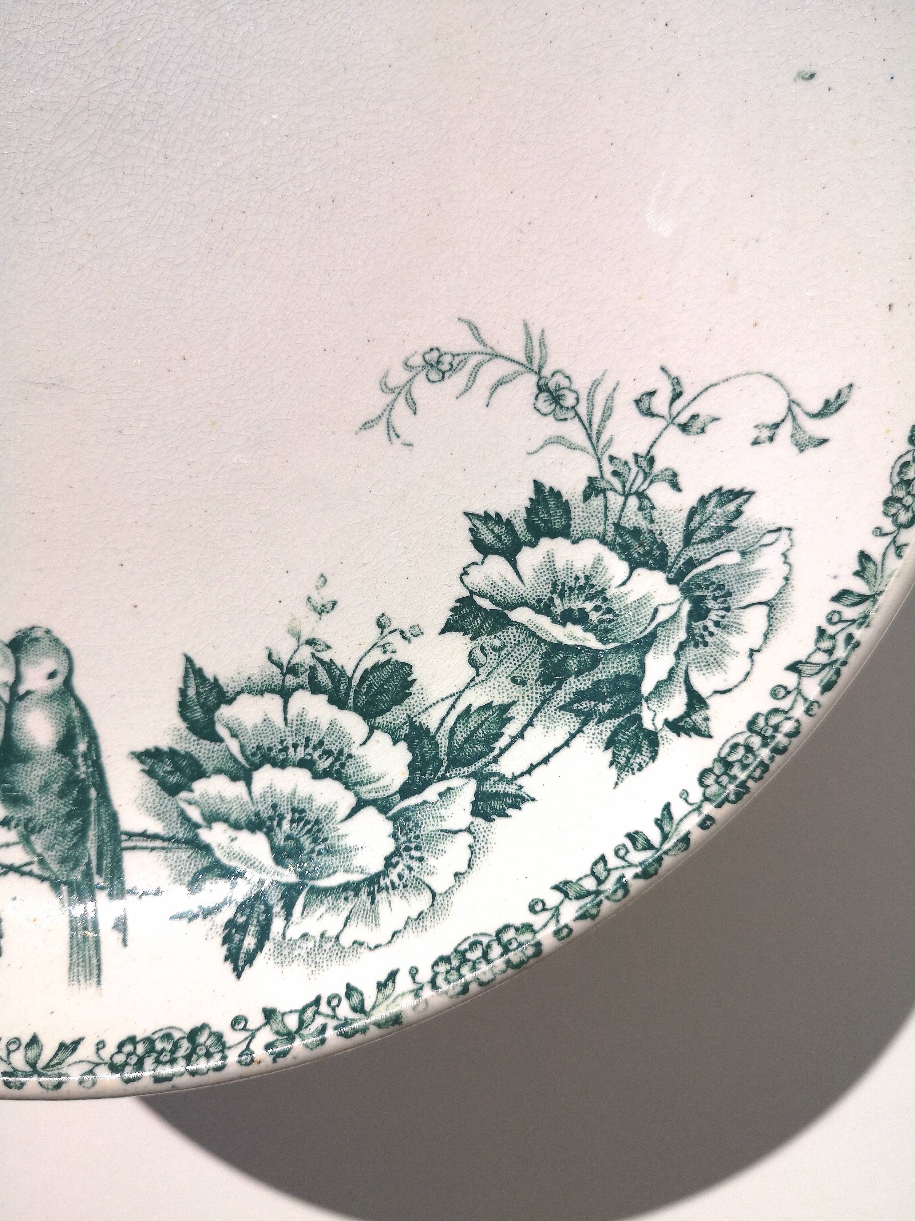 Model compotier Mésanges Saint Amand