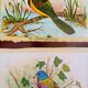 lot of zoological posters, birds, 60s
