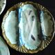 6 French Antique Asparagus Plates in Majolica